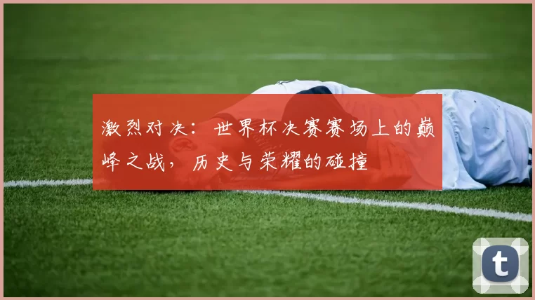 激烈对决：世界杯决赛赛场上的巅峰之战，历史与荣耀的碰撞
