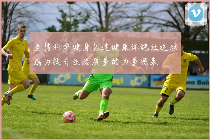 坚持科学健身打造健康体魄让运动成为提升生活质量的力量源泉