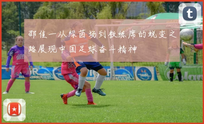 邵佳一从绿茵场到教练席的蜕变之路展现中国足球奋斗精神